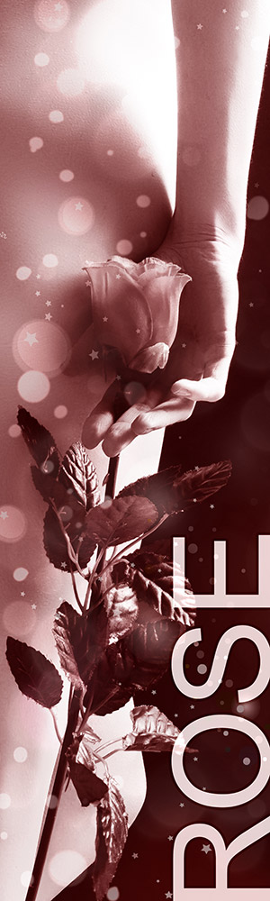 Honorar Status Rose - Escort Service Rostock Honorar Status Rose - Escort Service Rostock